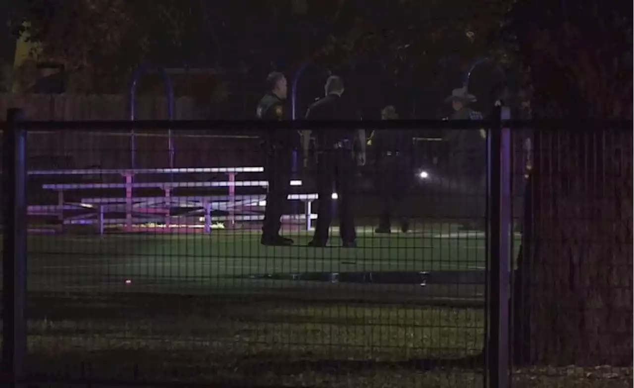 2 people in critical condition, suspects arrested after park shooting