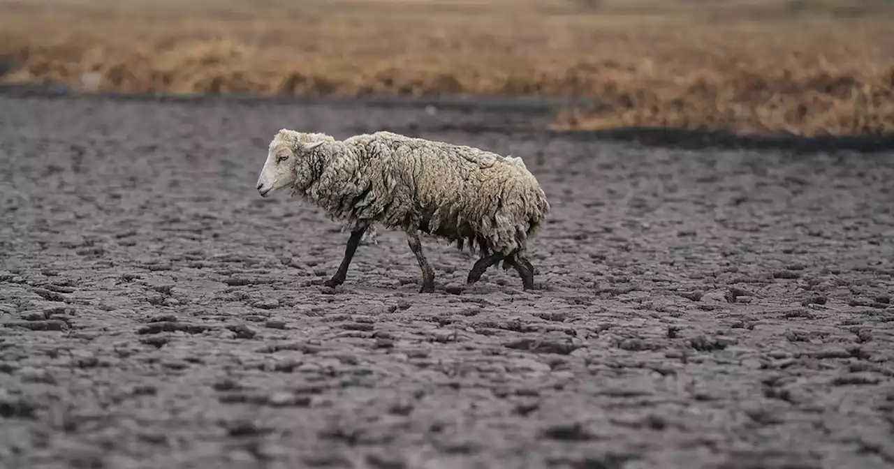 Sequía en Perú: desapareció una laguna en Los Andes del sur | Ciudadanos | La Voz del Interior