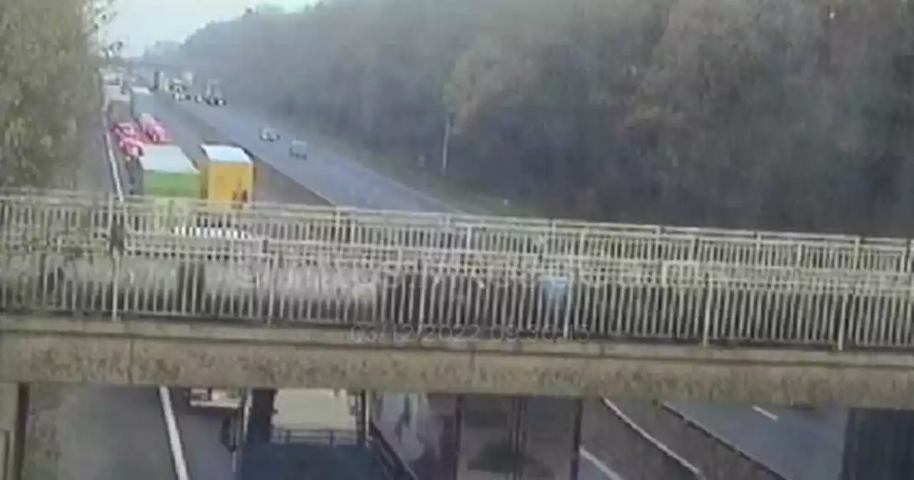 M6 crash kills teenager as Rossendale lorry driver arrested