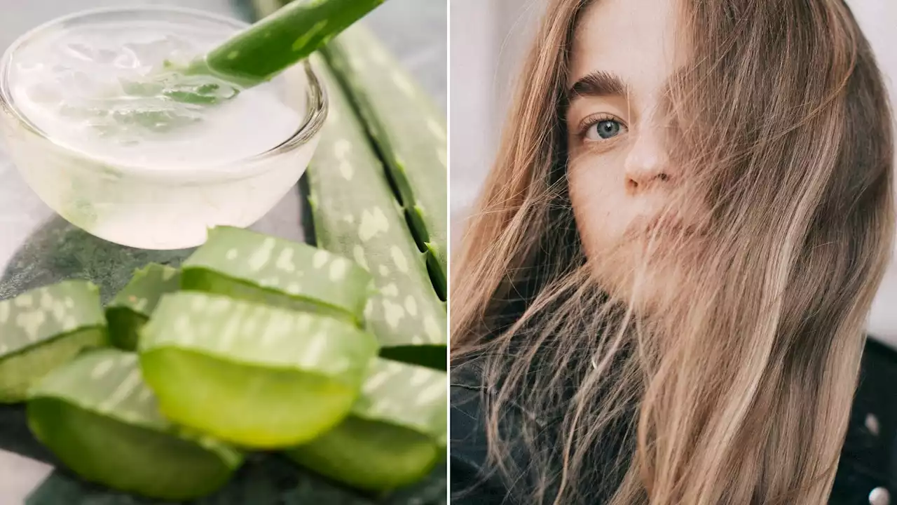 Quels sont les bienfaits de l’aloe vera pour les cheveux ?