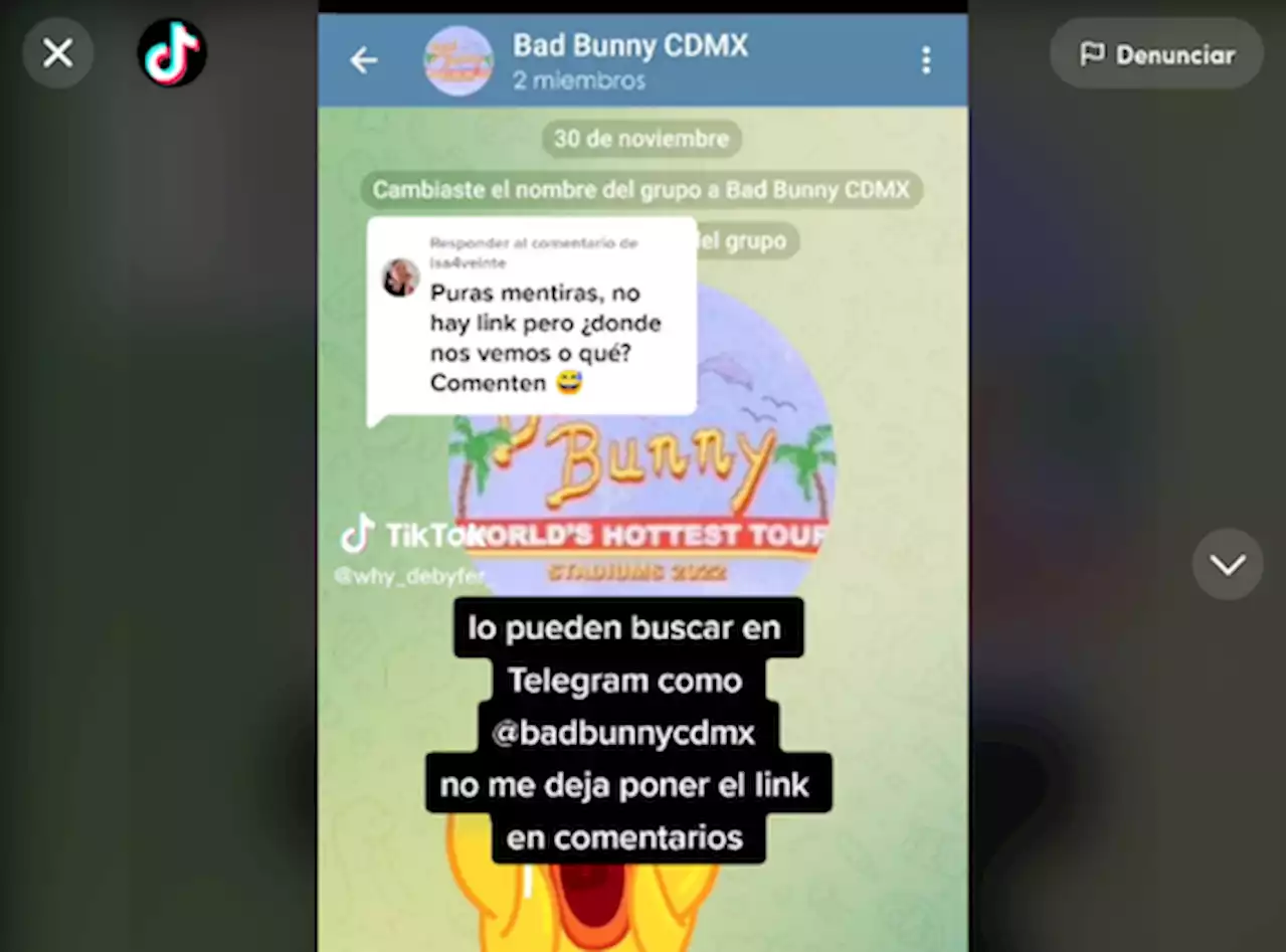 Fans de Bad Bunny sin boleto crean grupo en Telegram y organizan fiesta