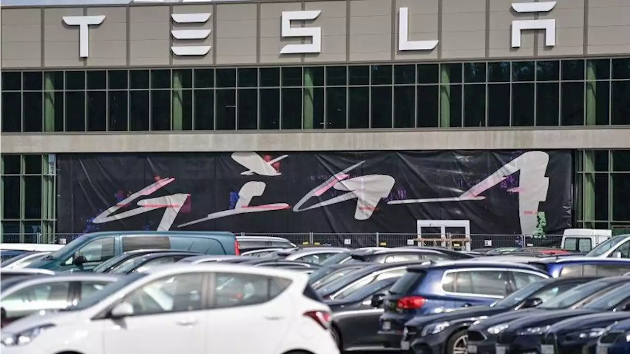 Protest gegen Tesla-Fabrikausbau: Forderung nach Befragung