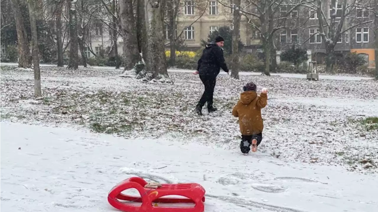 Schnee in der Hauptstadt: Berliner zieht es nach draußen