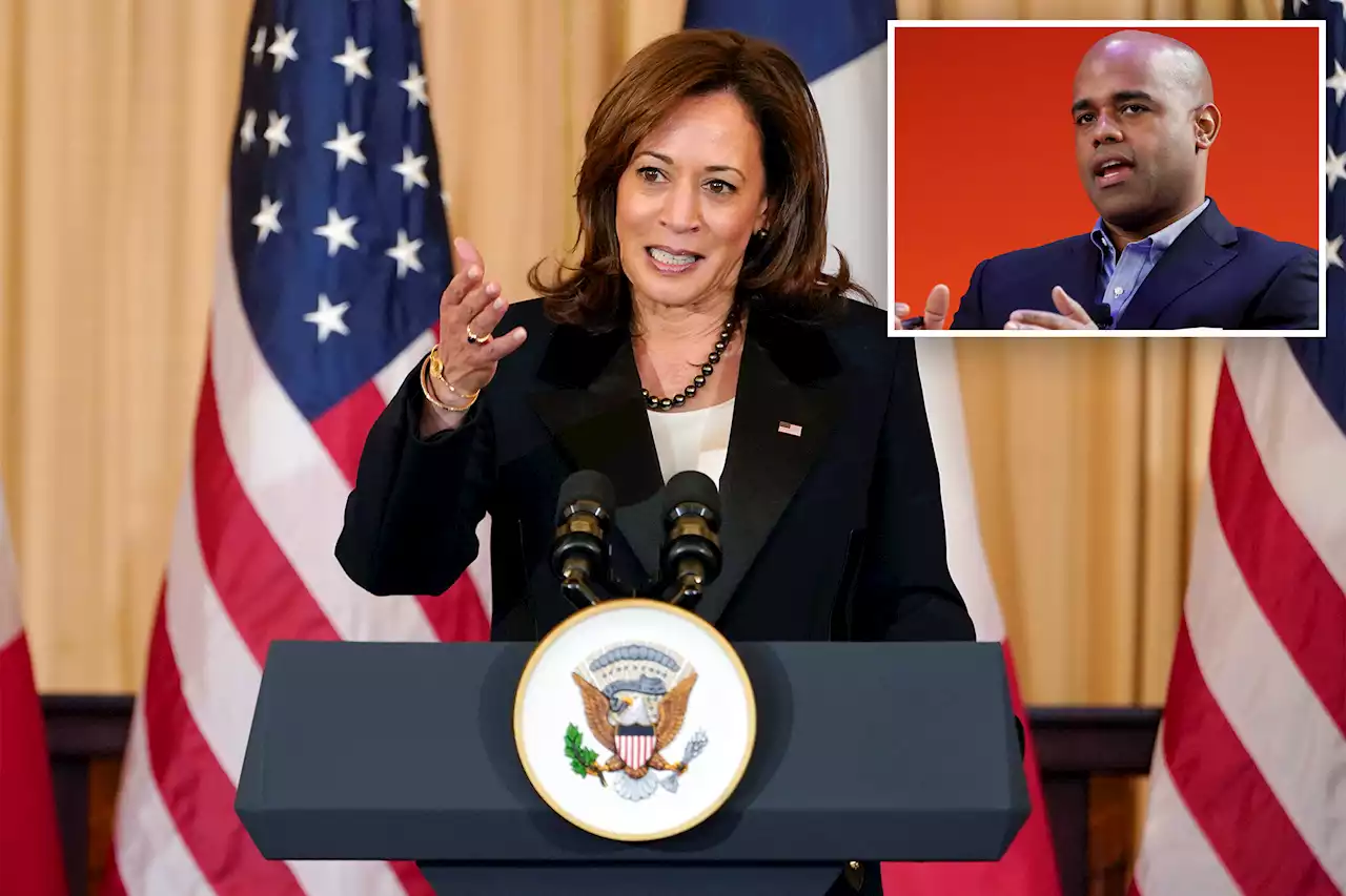 Another Kamala Harris staffer announces exit as comms director Jamal Simmons set to leave: reports