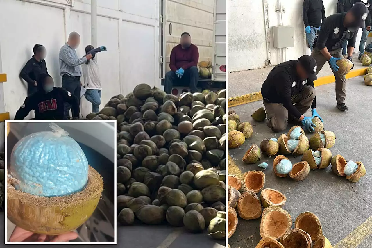 Fentanyl found stuffed in coconuts in Mexican truck