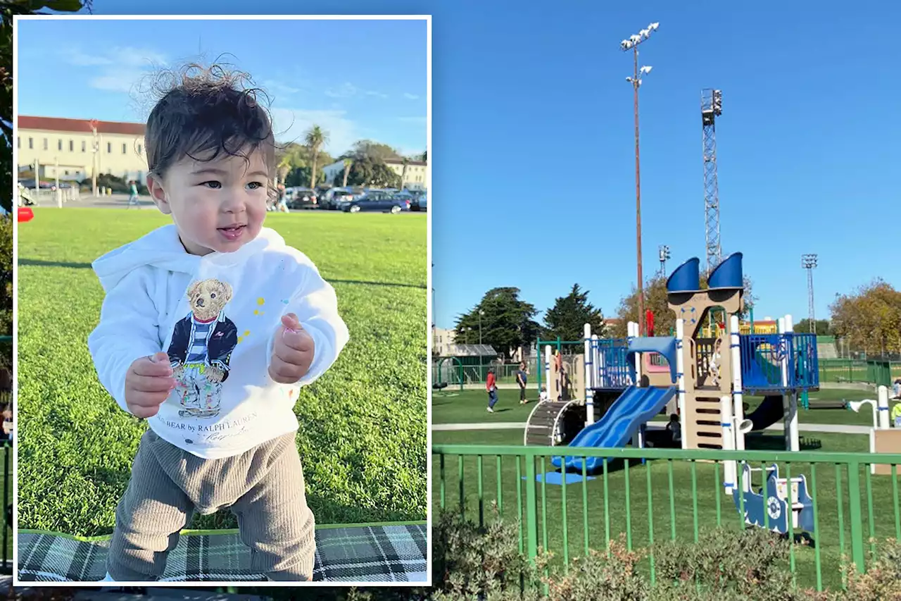 Infant son of tech boss overdoses on fentanyl found at San Francisco playground