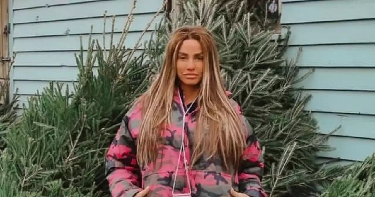 Katie Price takes kids Christmas tree shopping after split from ex Carl Woods