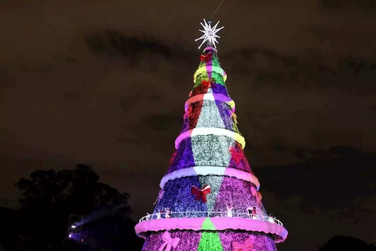 Árvore de Natal do Parque Ibirapuera será inaugurada neste sábado (3)