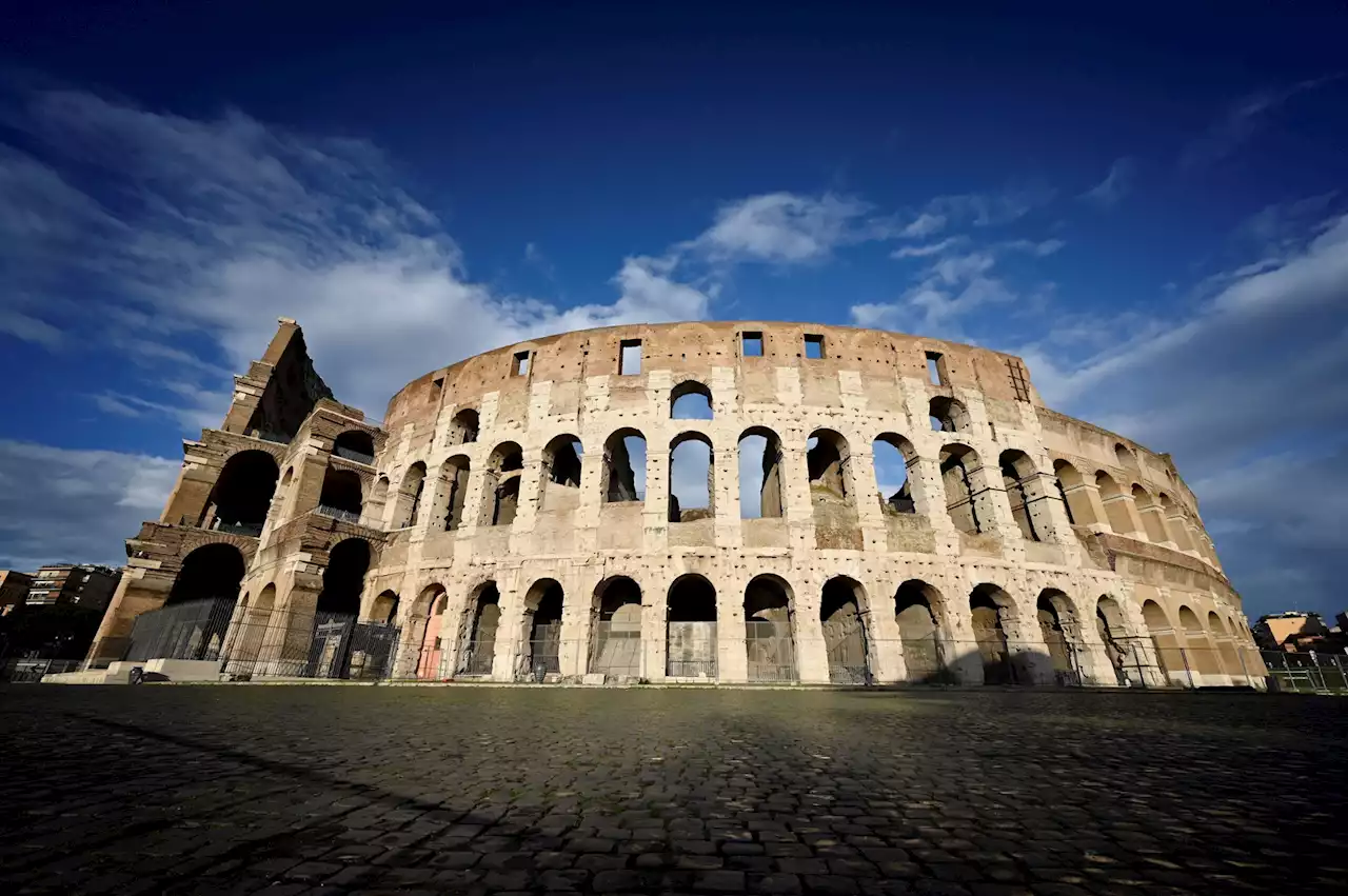 Rome antique : les teckels comme combattants au Colisée ?