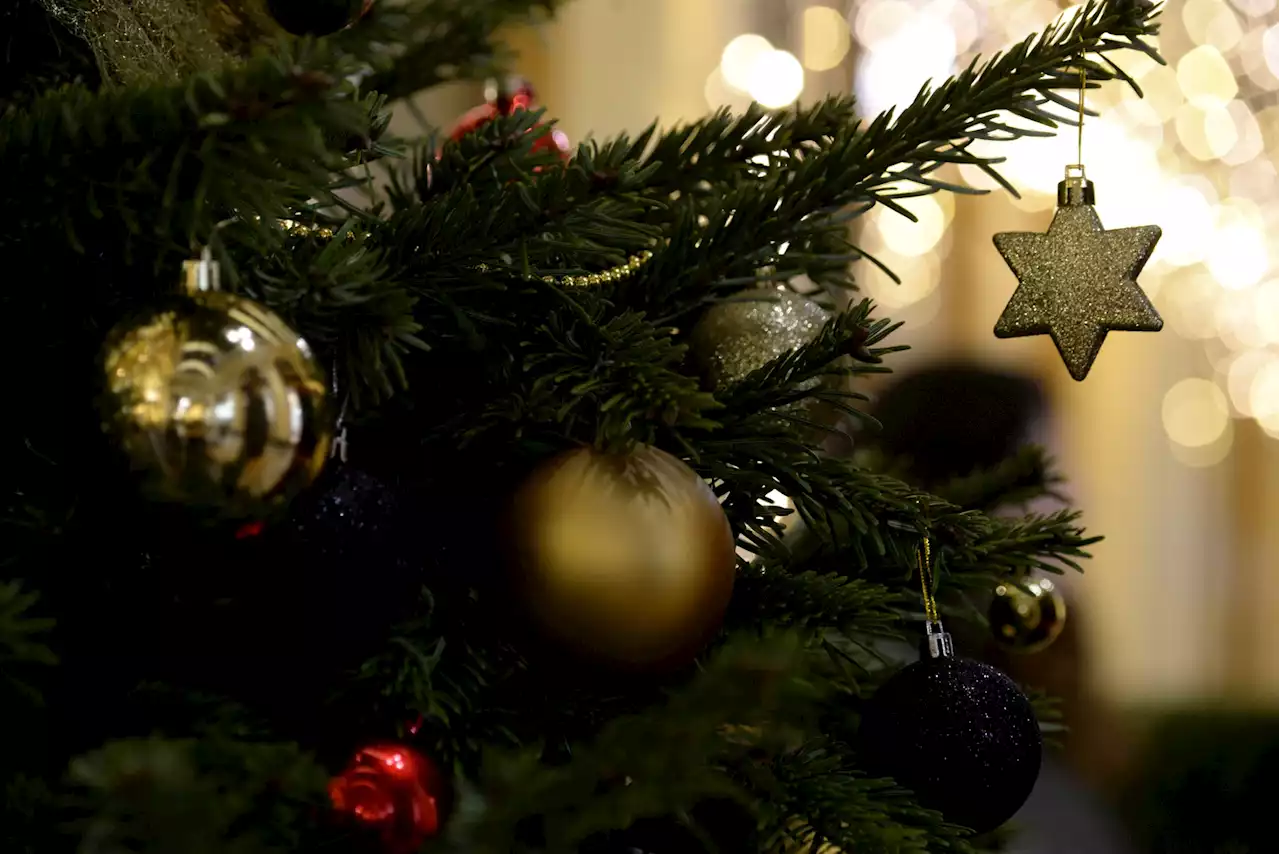 Sapin de Noël : comment le garder plus longtemps ?