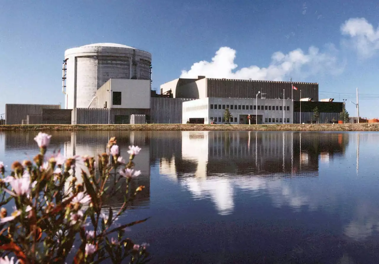 DON MILLS: Nuclear power option looking brighter for Nova Scotia | SaltWire