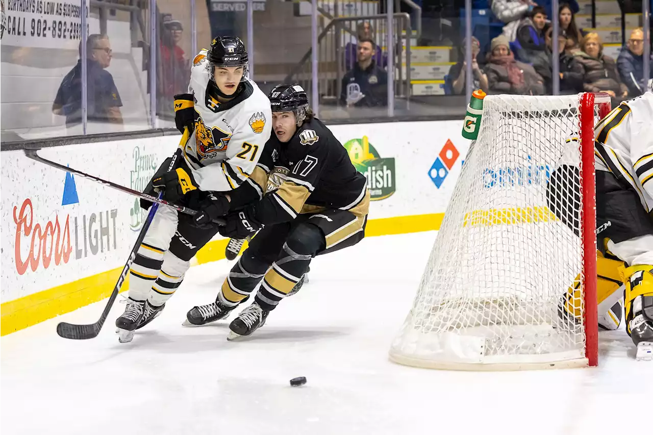 Three-goal first period paces Victoriaville Tigres past Charlottetown Islanders | SaltWire