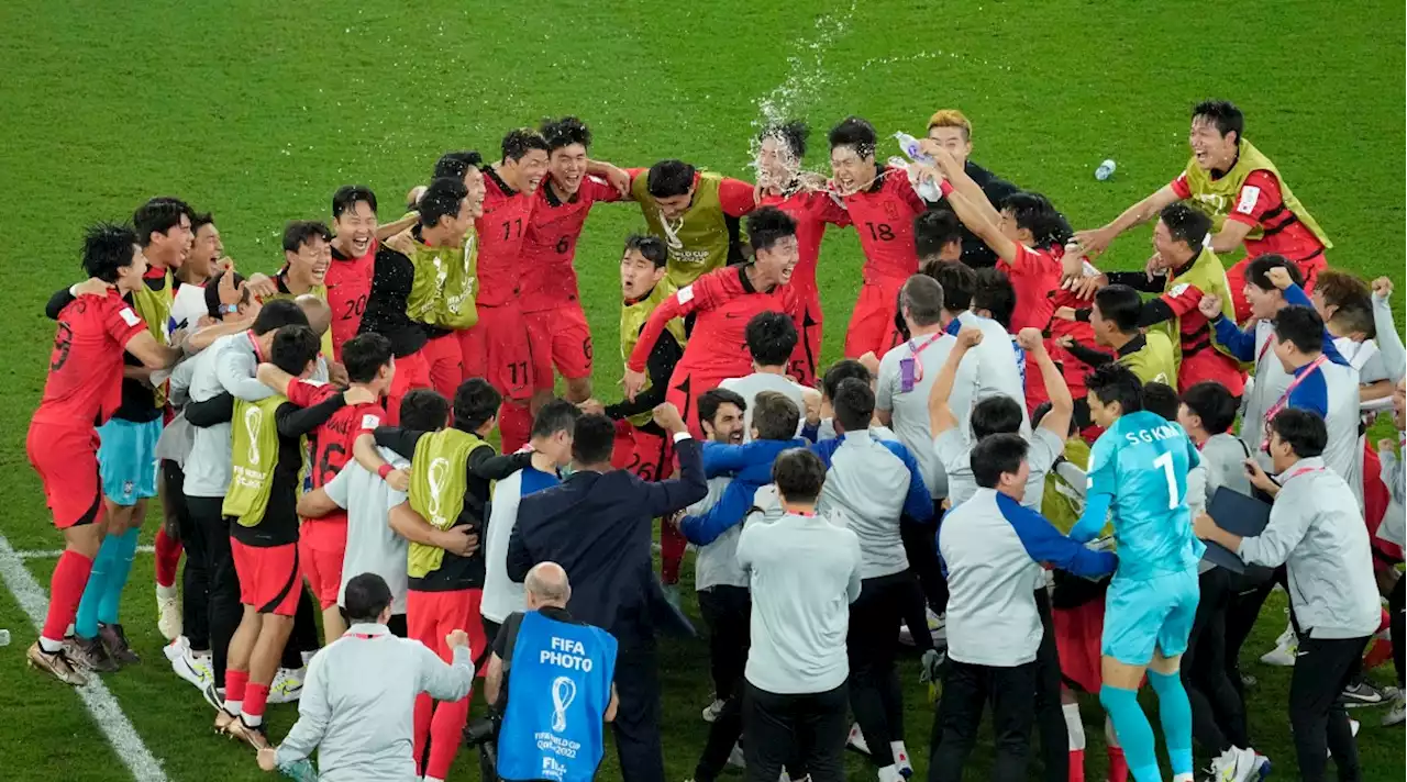 Watch: South Korea Players, Fans Erupt Watching End of Uruguay Match