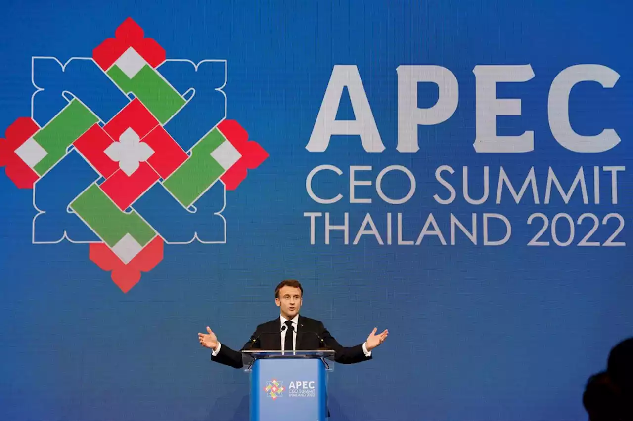 Was a Swastika Logo Displayed at the 2022 APEC CEO Summit?