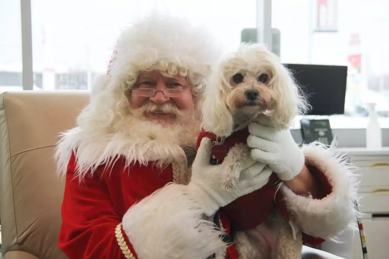 Santa Claus greets very special 15-year-old (8 photos)