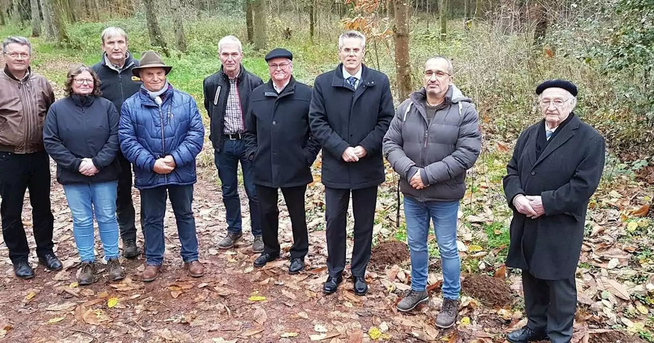 Umsetzung dauerte fünf Jahre: Neue Bestattungsform in Merzig: Was das Besondere an einer Waldruhestätte ist