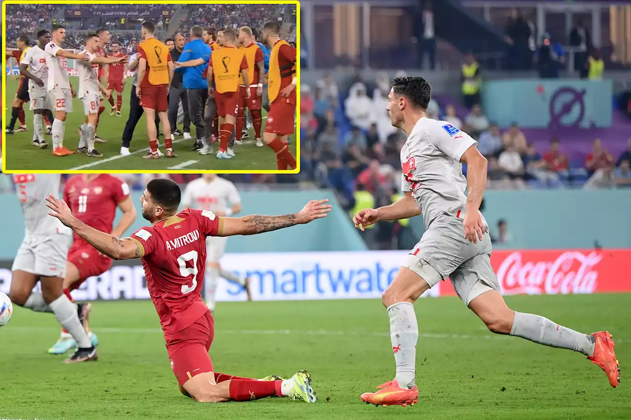 Mitrovic tries 'outrageous dive' to win penalty as Serbia substitutes run on pitch