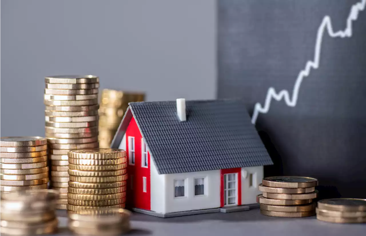 Seven tips to help you deal with rising interest rates | The Citizen