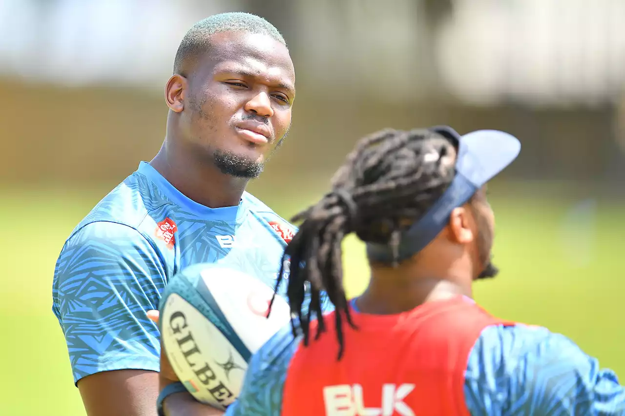 Stormers out to slay Dragons in Gqeberha | The Citizen