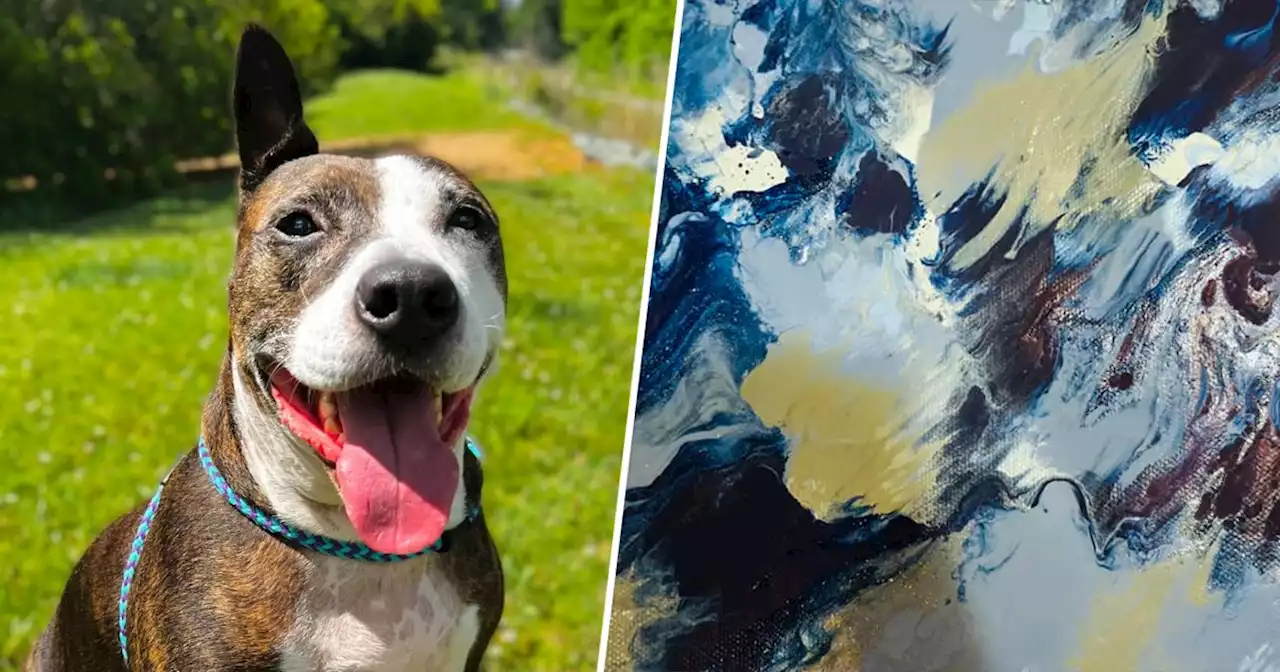 One-eared rescue dog Van Gogh paints his way into adoption