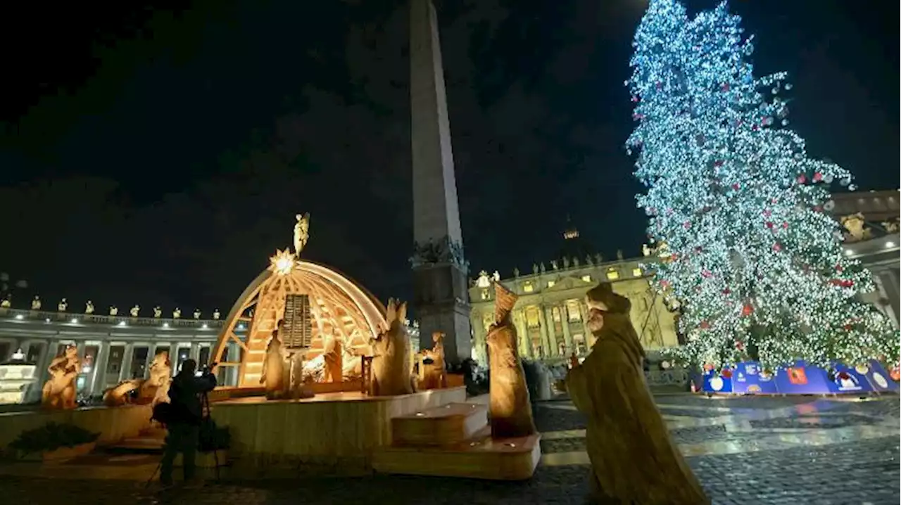 Vaticano inaugura presépio e árvore de Natal na Praça São Pedro