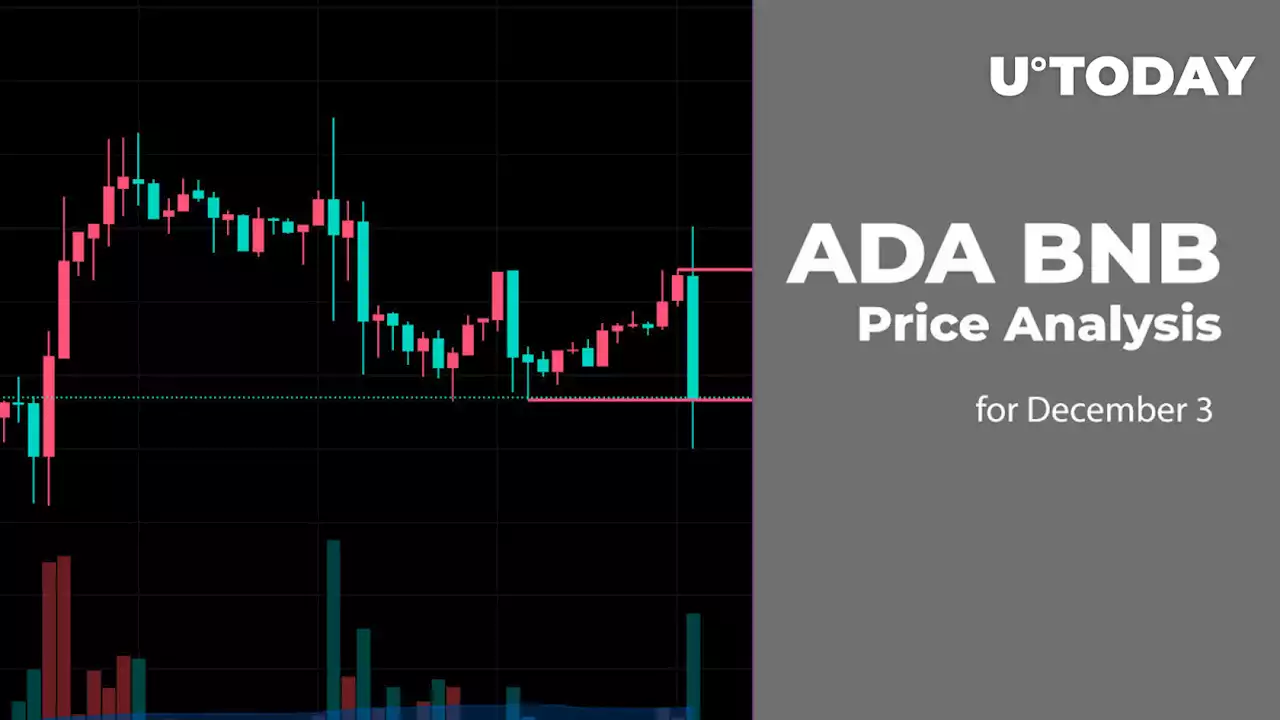 ADA and BNB Price Analysis for December 3