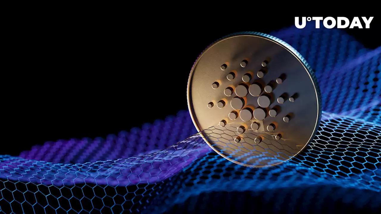 Cardano Network 8 Times More Decentralized Than Ethereum, Here Are Details