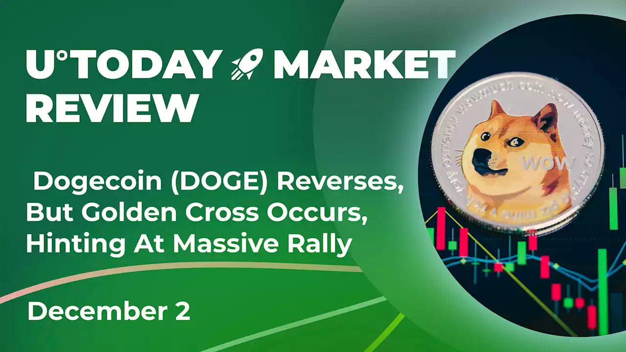 Dogecoin (DOGE) Reverses, But Golden Cross Occurs, Hinting at Massive Rally: Crypto Market Review, Dec. 2