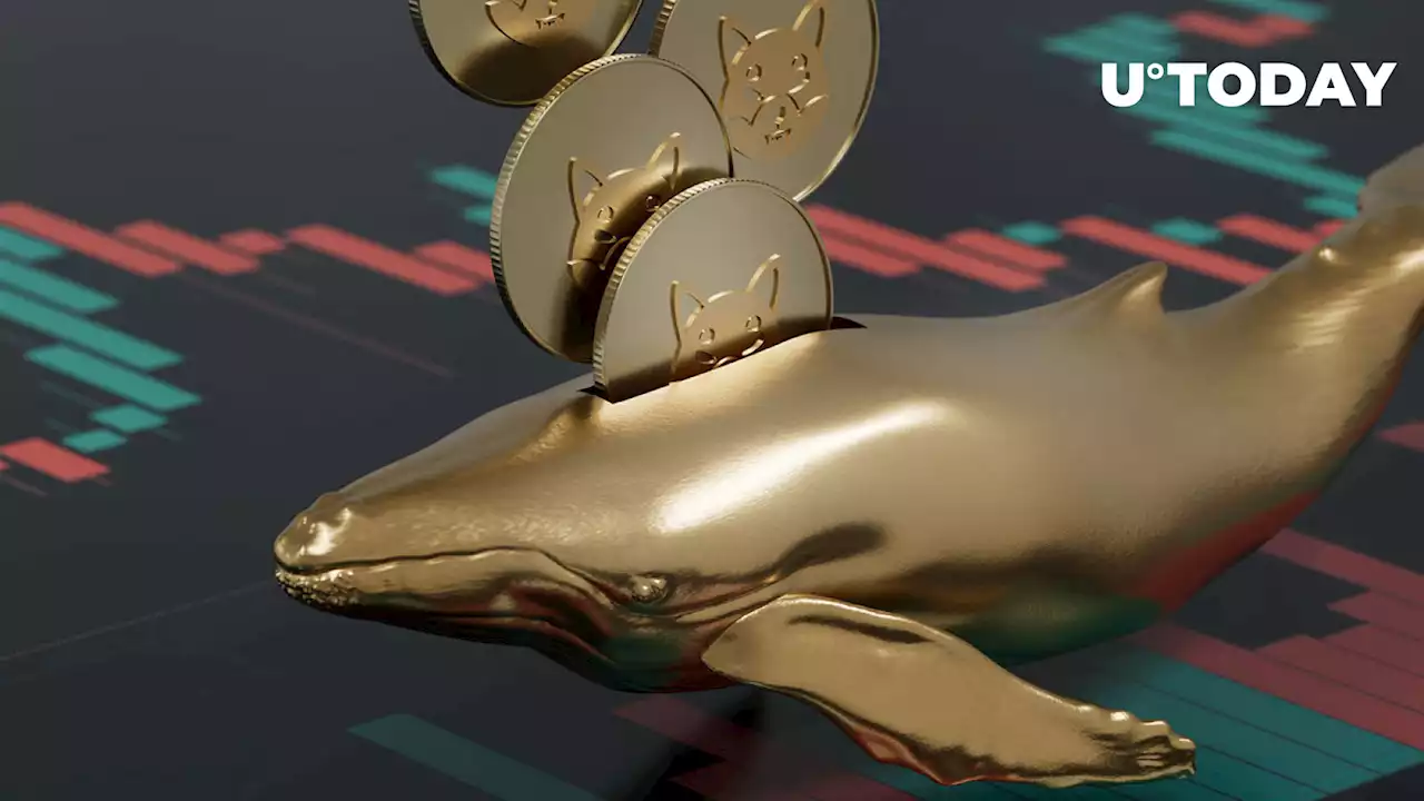 SHIB: Historic Milestone Reached in This Metric as Whales Accumulate