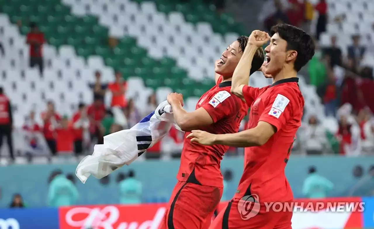 [월드컵] '두 마리 황소' 황희찬·황인범, 역사를 만들었다 | 연합뉴스