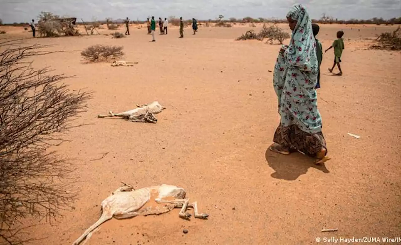 West Africa: Deaths, Instability Increase Across the Western Sahel in 2022