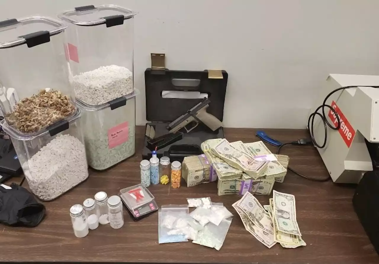 Auburn Police Make Drug Bust Involving 16,000 Pills, Mushrooms and Cocaine - Alabama News