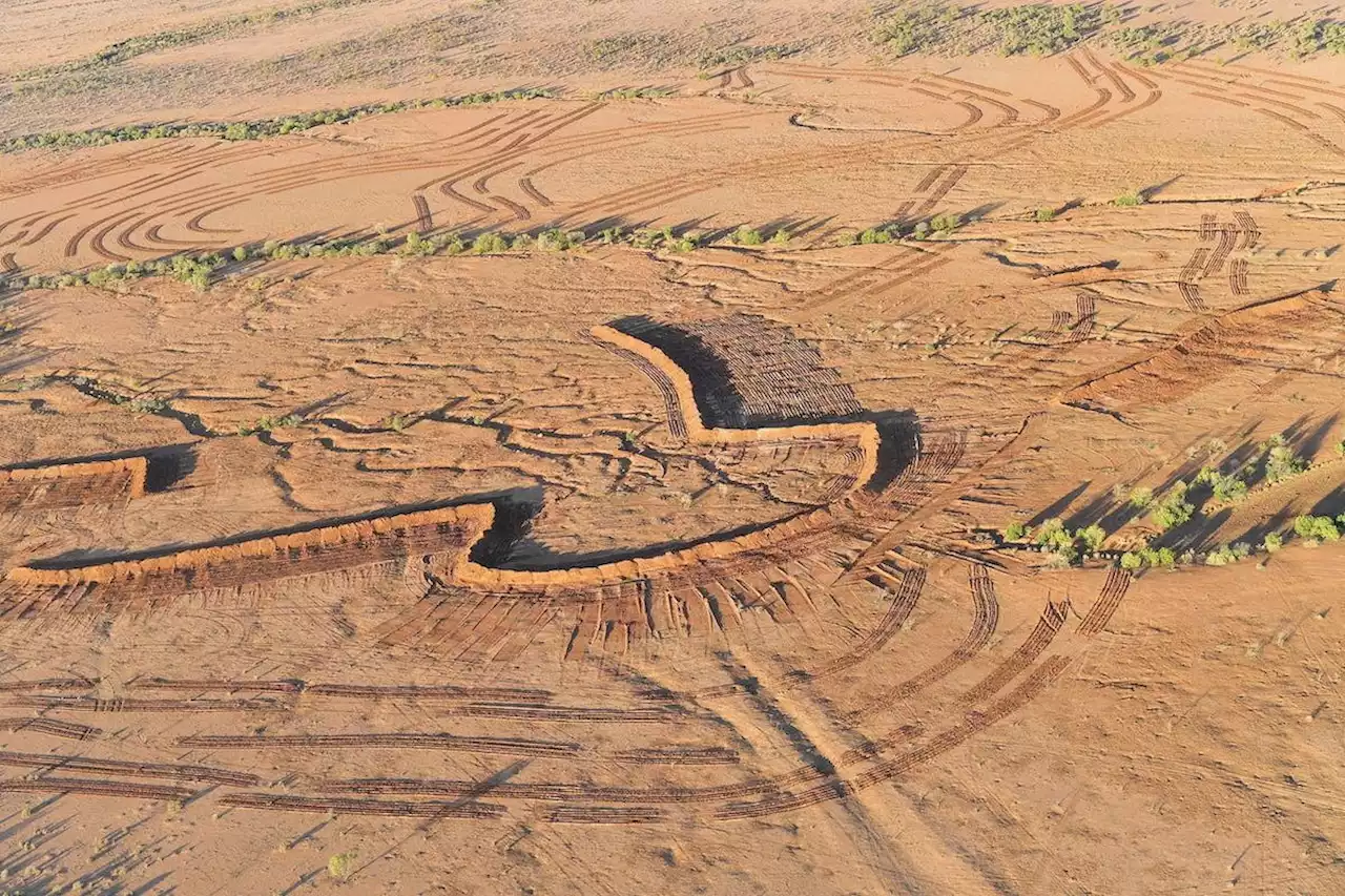 Kleine Kinder überleben 55 Stunden allein im Outback