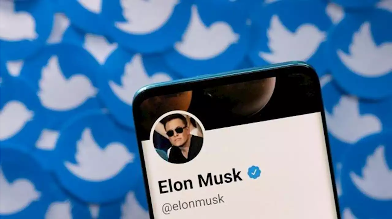 Elon Musk Beli Twitter, Baru 3 Bulan Sudah 'Dipecat' Netizen