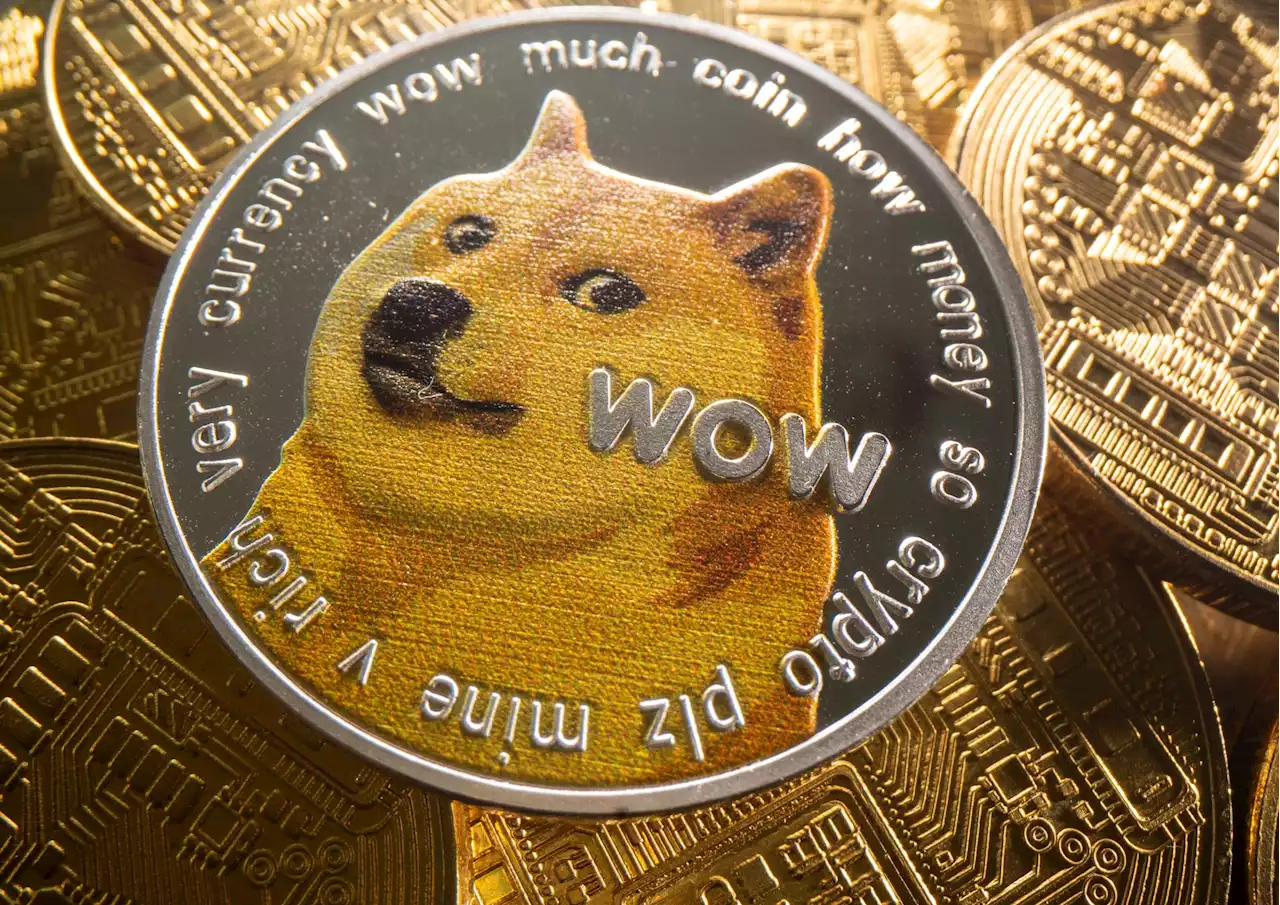 Tegn til bedring for Dogecoin-hunden