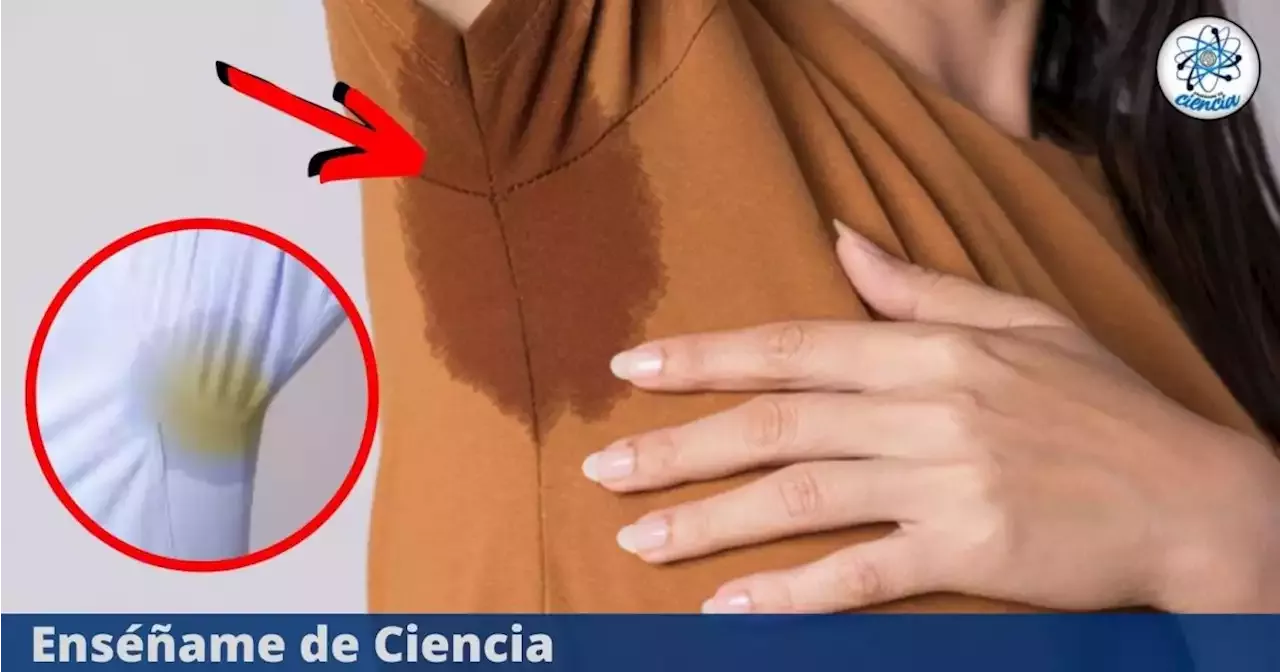 Cómo eliminar las manchas amarillas de las axilas en la ropa: trucos  fáciles para dejarla como