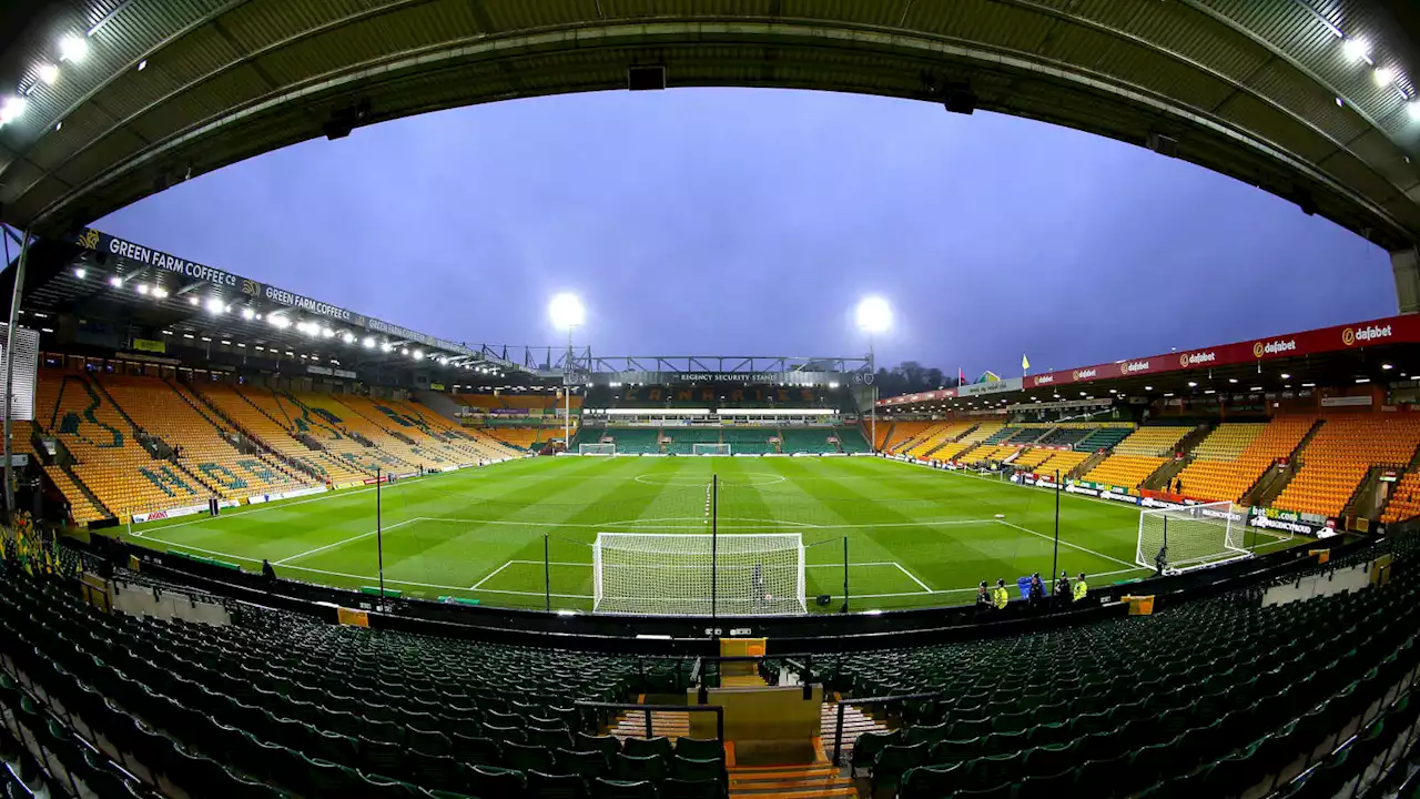 Norwich City cannot hope to solve all their problems just by sacking Dean Smith