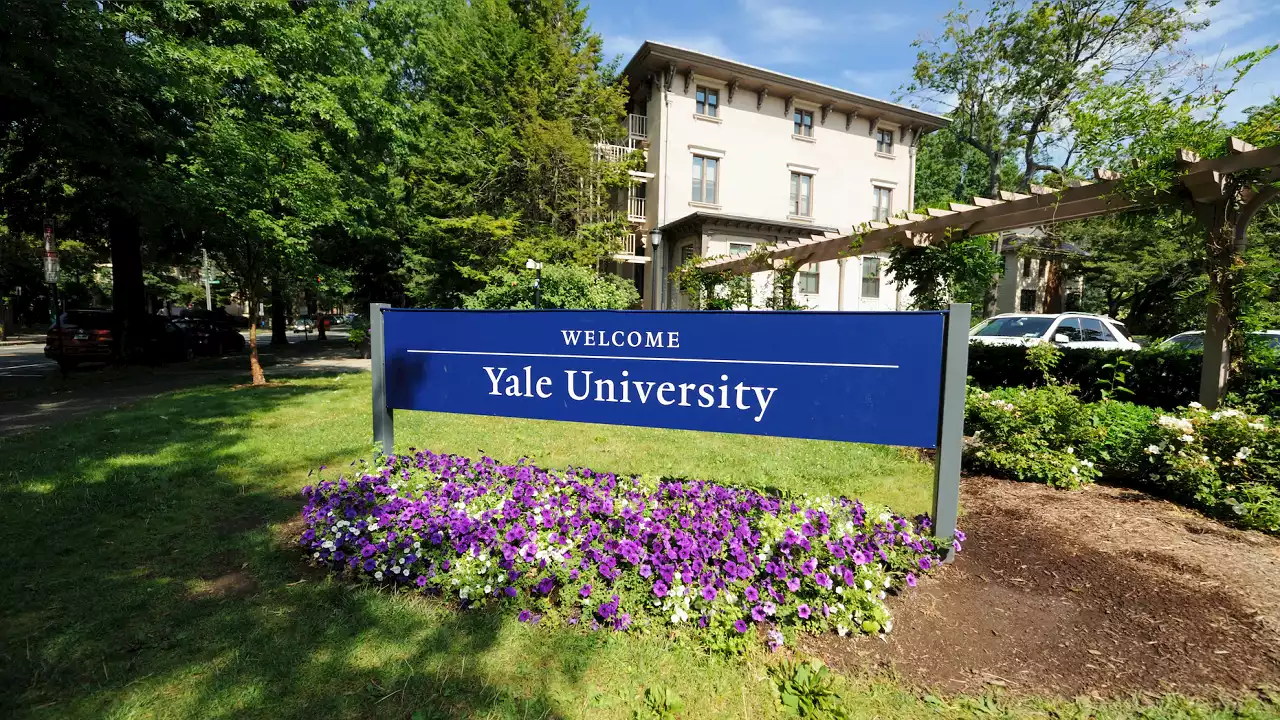 Yale University ‘happiness professor’ warns capitalism is destroying students with anxiety