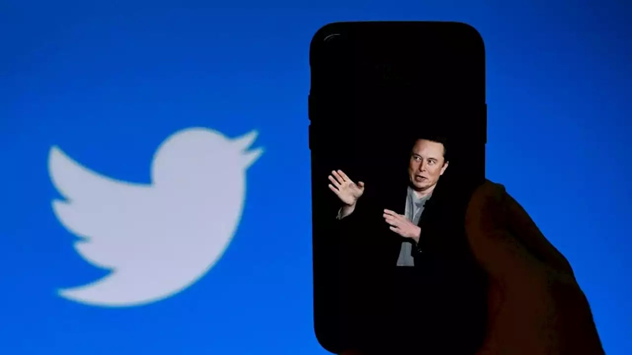 'Twitter to follow, question science.', says Elon Musk
