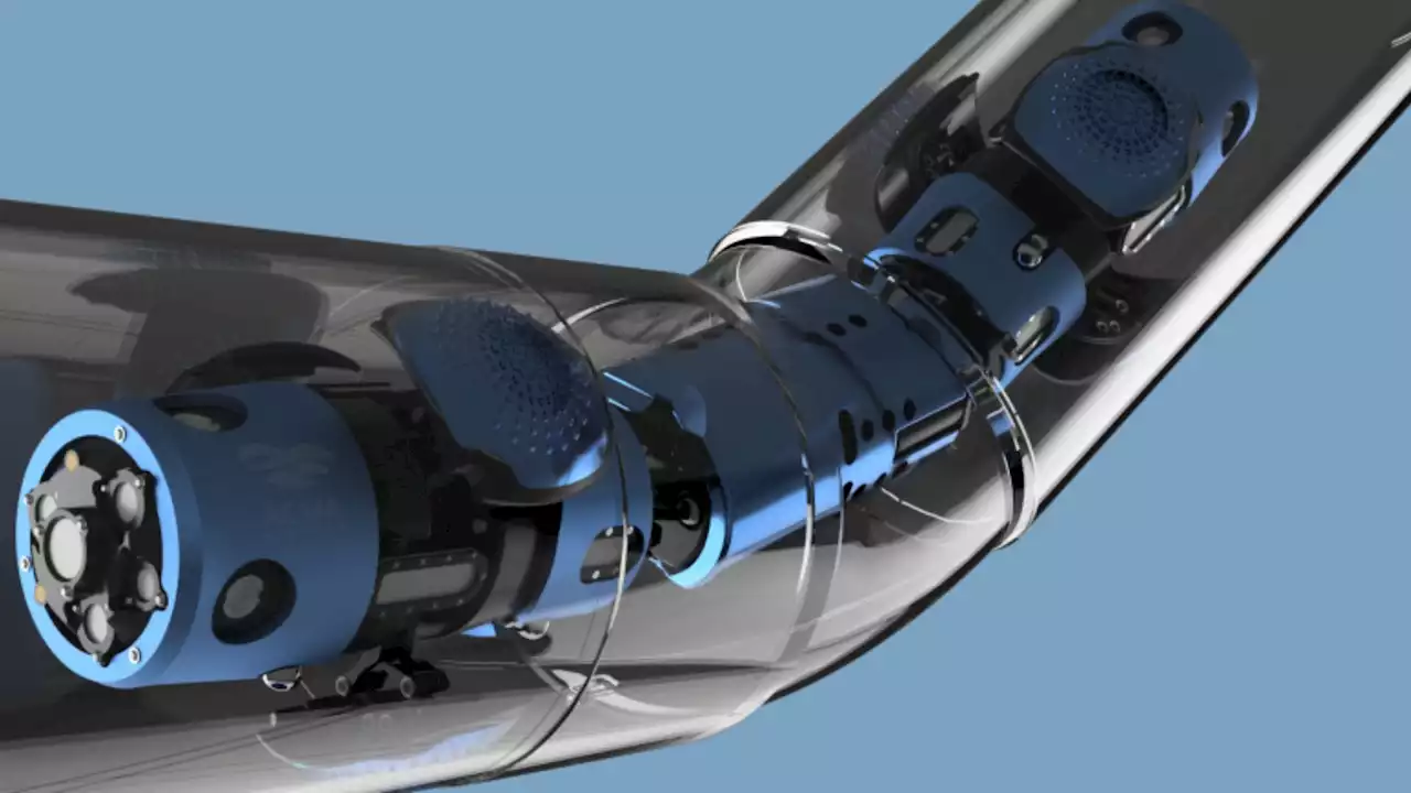 CES 2023: Engineers create a snake-like robot that can move inside water pipes