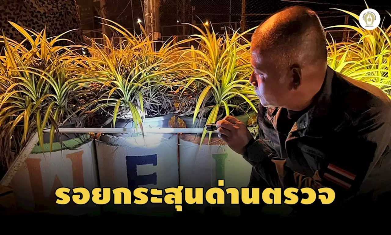 ป่วนส่งท้ายปี 'บึ้ม-ยิง-เผา' แต่ไร้เจ็บ