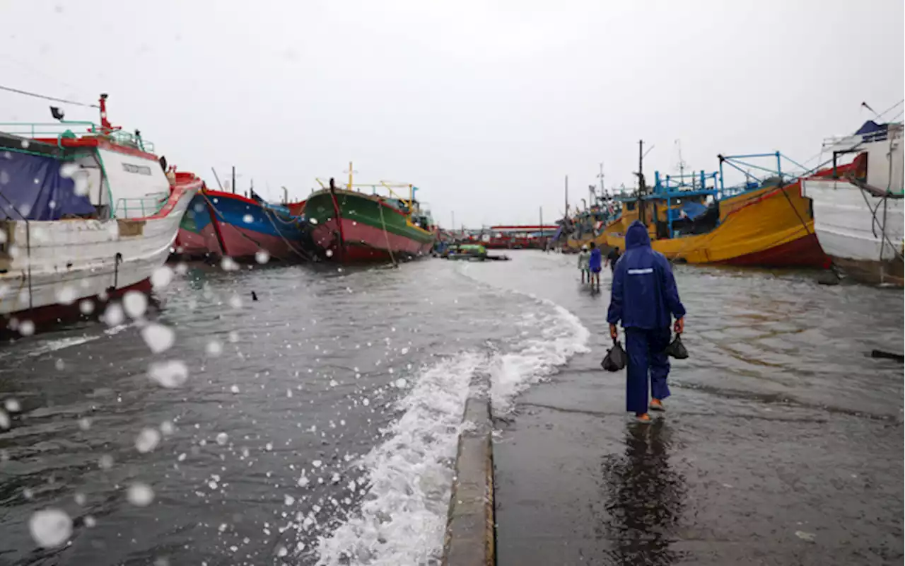 Bukan Tanggul Laut Raksasa, Pengamat Sebut Ini Cara Atasi Banjir Rob - JawaPos.com