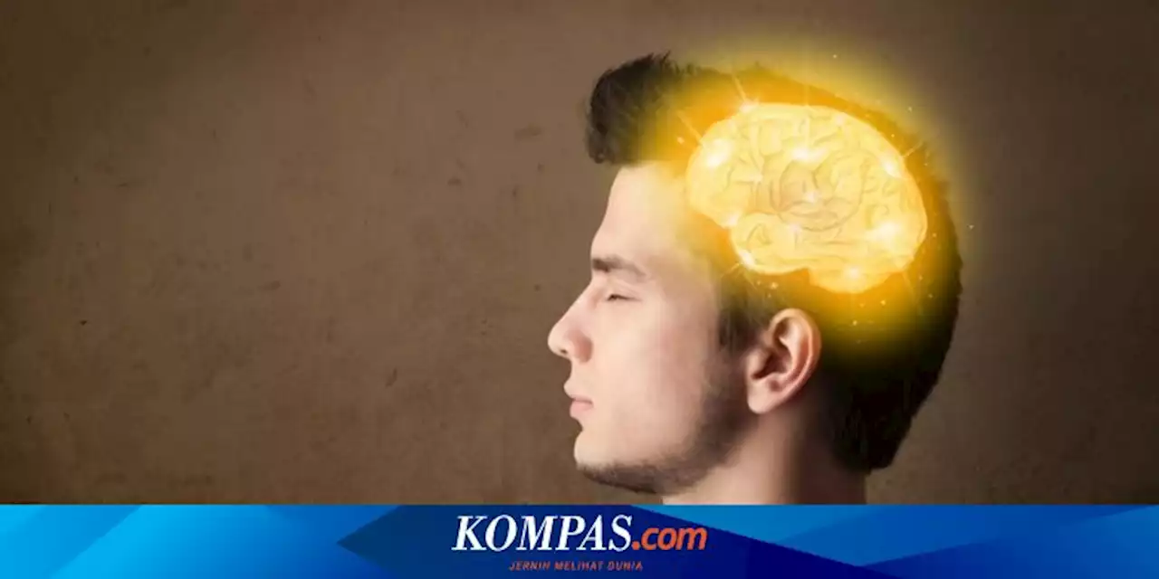 11 Manfaat Vitamin B6, Mendukung Kesehatan Otak dan Pembuluh Darah