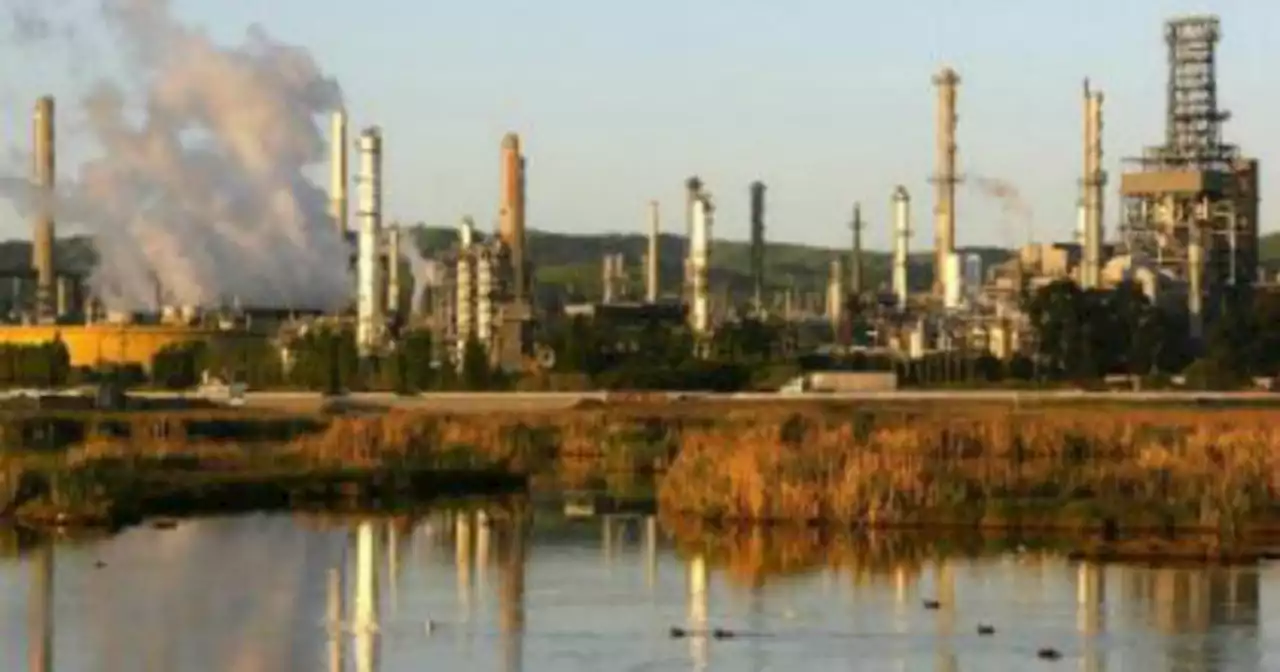 Martinez oil refinery says raccoon caused recent flaring