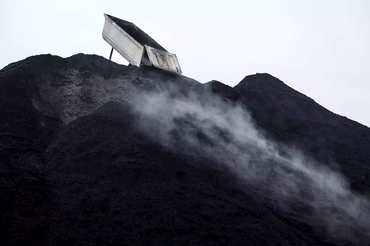 Neutralité carbone : nos dirigeants manquent toujours d’énergie