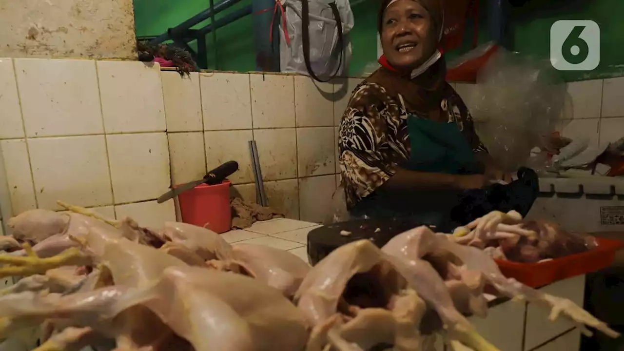 Harga Daging Ayam Jelang Tahun Baru 2023 Menggila, Tembus Rp 55.000