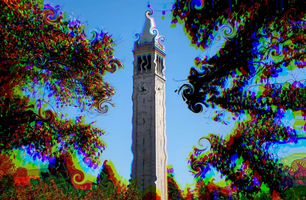 UC Berkeley will teach psychedelic guides how to facilitate ‘shrooms,’ hallucinogenic drugs