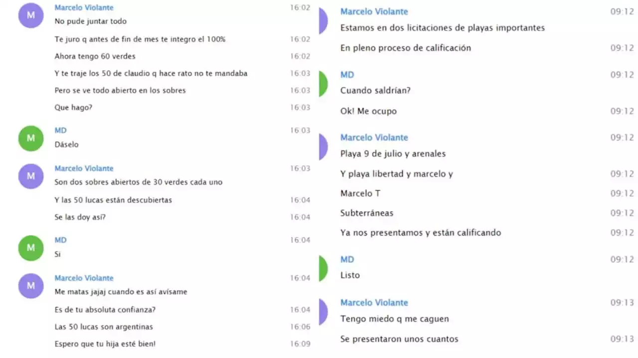 Chats filtrados de D’Alessandro: de mediaciones en licitaciones y multas hasta 'sobres' y '60 Lucas verdes'