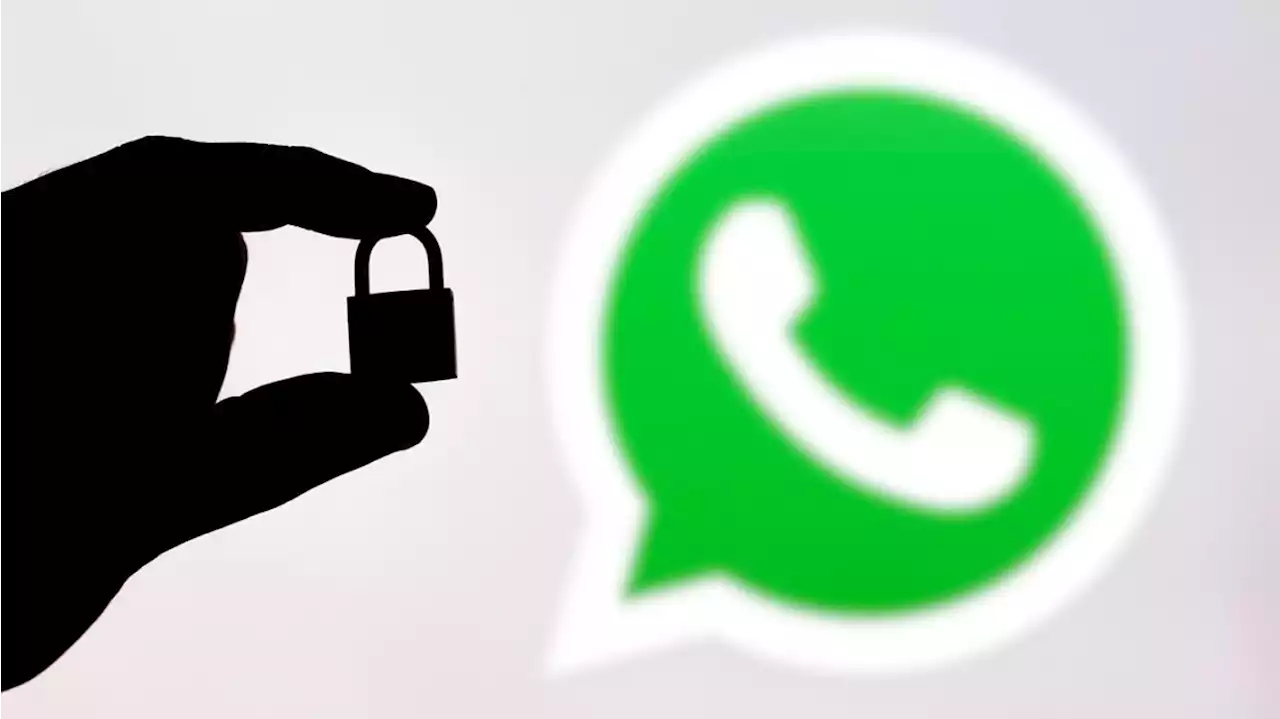 ¿En qué modelos de celular no funcionará WhatsApp desde 2023?