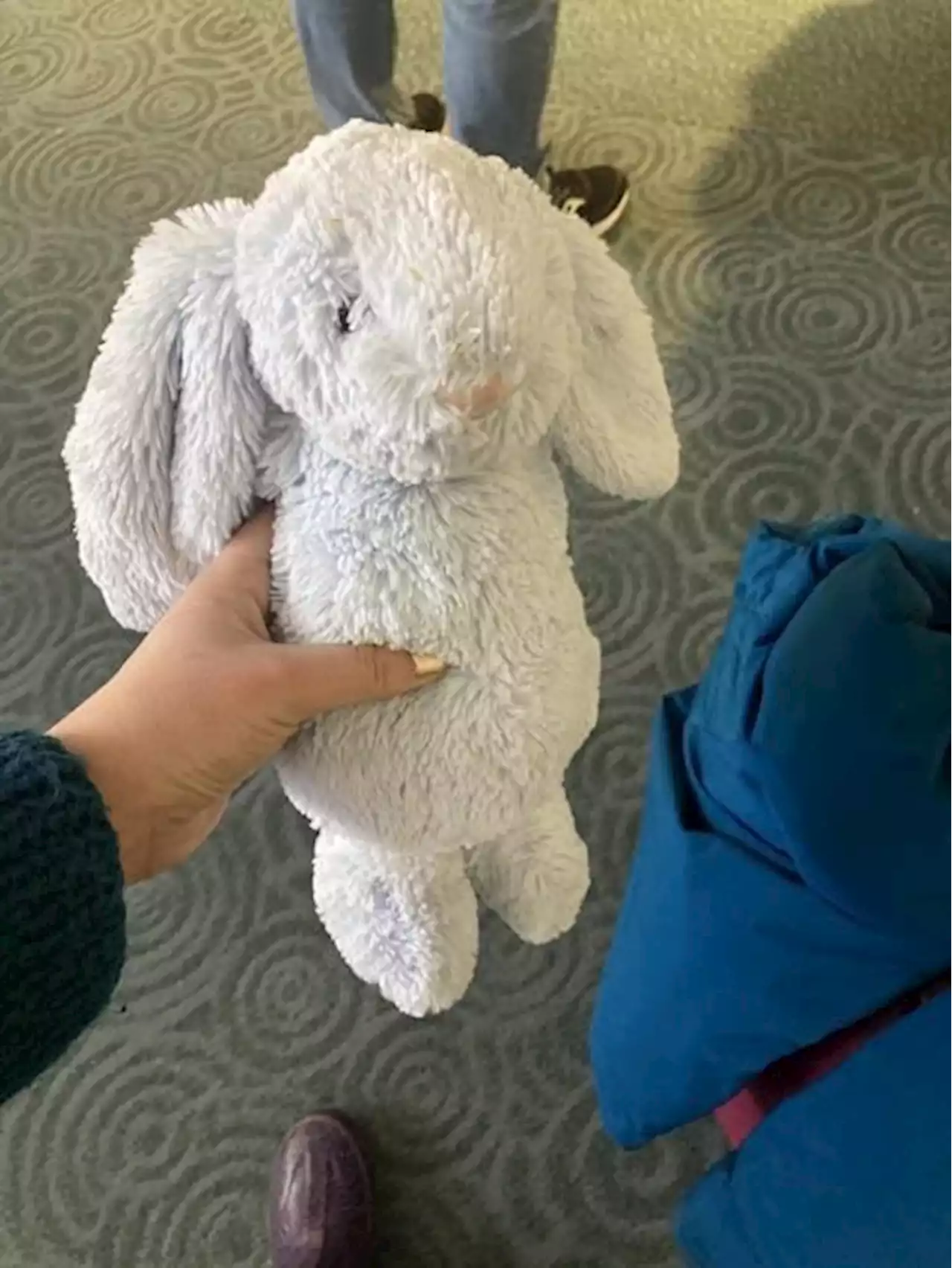 The tale of Bunbun, stranded at Vancouver airport, has a happy ending